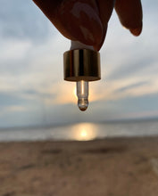 Load image into Gallery viewer, Oils (Eucalyptus)