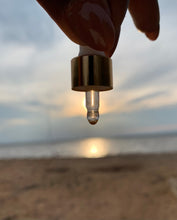 Load image into Gallery viewer, Oils (Vanilla)