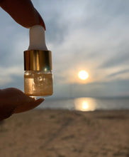 Load image into Gallery viewer, Oils (Vanilla)